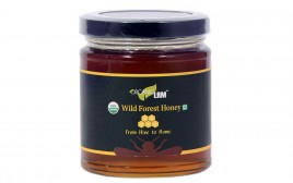 Organic LRM Wild Forest Honey   Glass Jar  225 grams